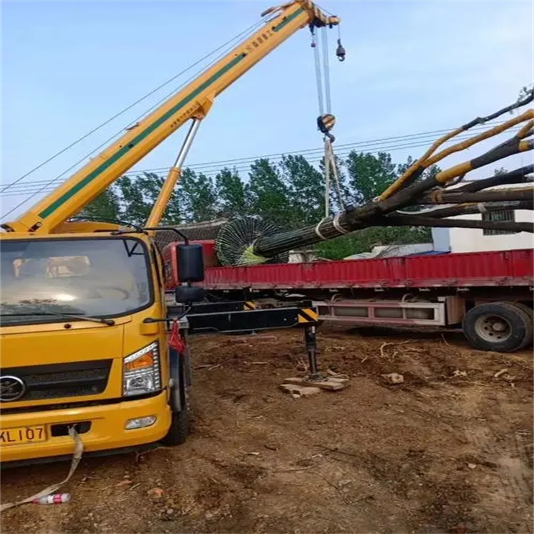 蕲春100吨吊车租赁费用怎么算？3大关键因素+省钱技巧全解析